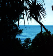 Load image into Gallery viewer, The Goddess